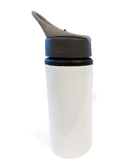 Aluminum Bottle w/Straw 650 ml