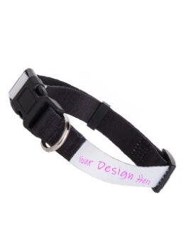 Adjustable Dog Collar